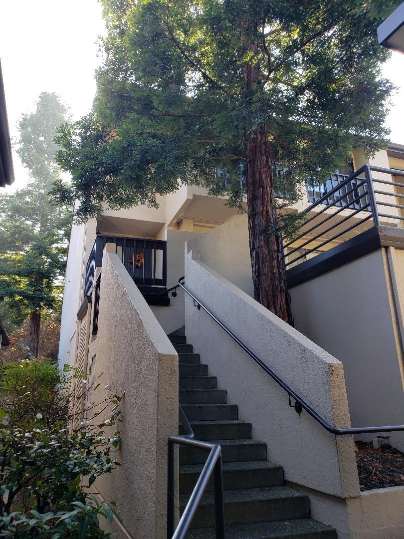 2345 Ticonderoga Dr San Mateo