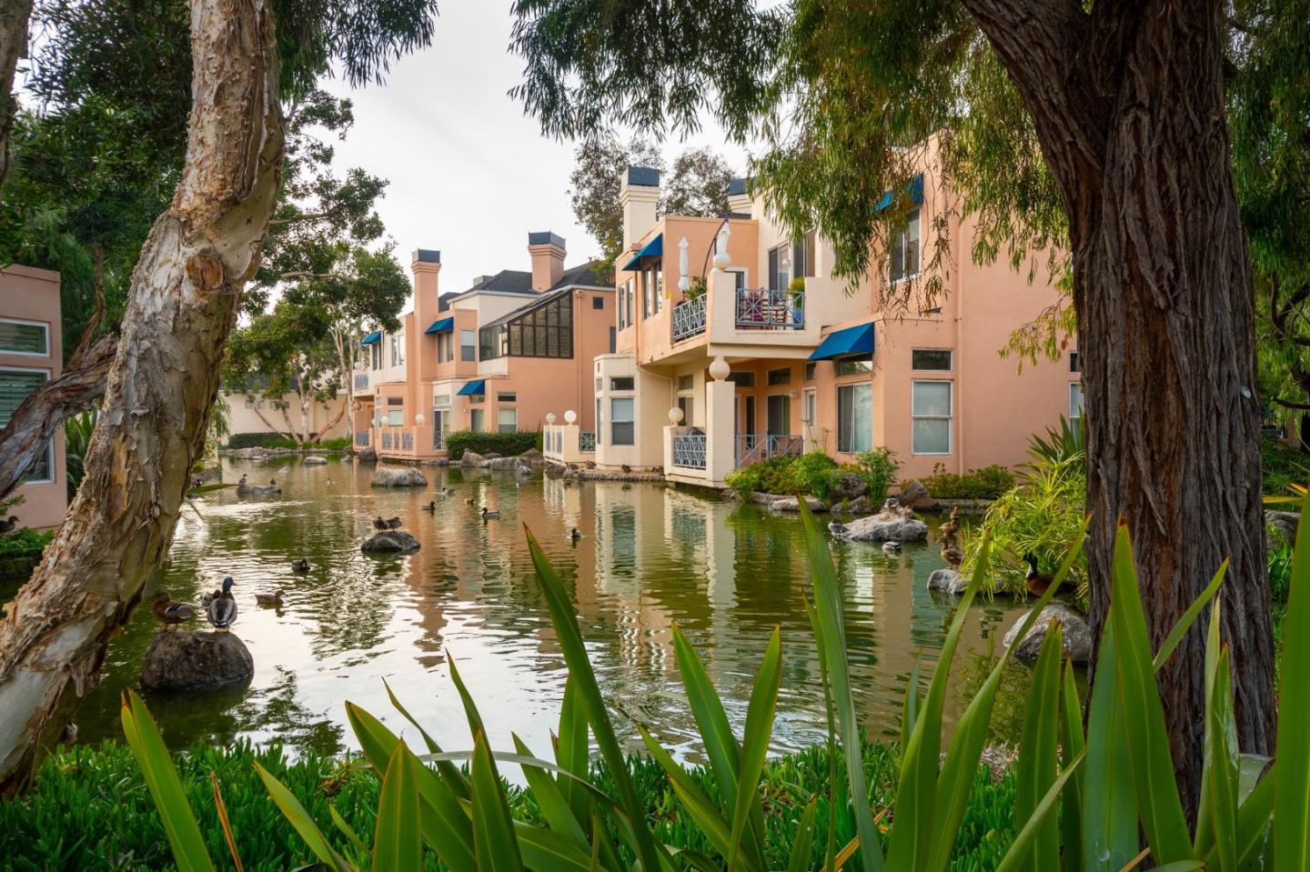 795 Lakeshore Dr Redwood Shores